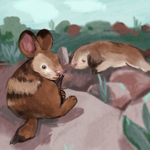 illustration of a small, spotted mammal resembling a rabbit with a longer tail and rounded ears