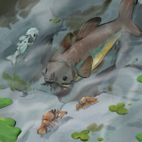 illustration of an ocean scene with two different fish and crawdad-like creatures