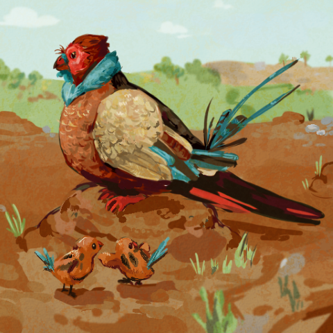 colorful illustration of a bird resembling a grouse